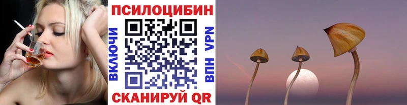 Псилоцибиновые грибы Psilocybe  Снежногорск 